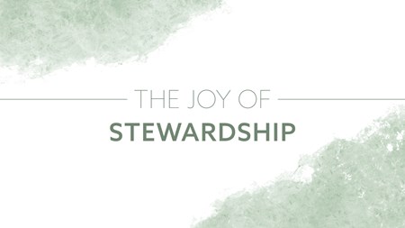 The Joy of Stewardship